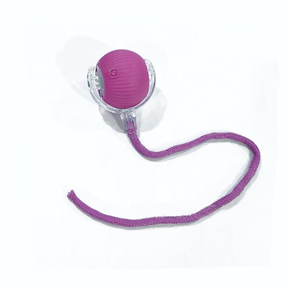 Rechargeable Automatic Rolling Cat Ball Toy – Smart Sensor Interactive Toy
