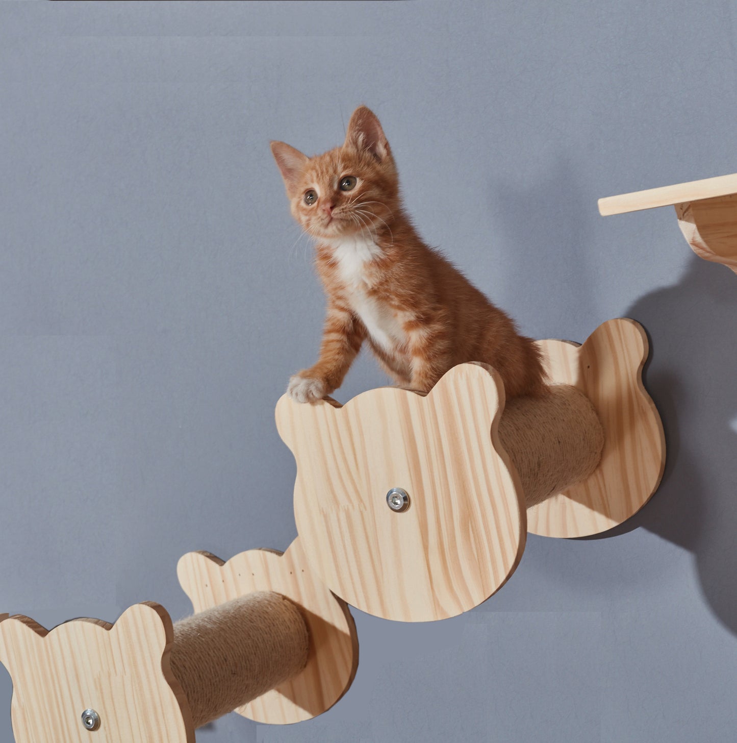 Solid Wood Wall Mounted Sisal Cat Toy Platform – Grabbing & Grinding Board