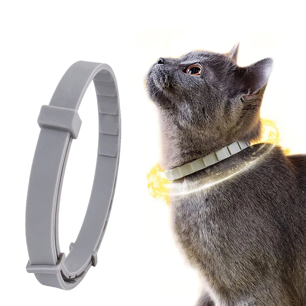 Waterproof Rubber Pet Collar – Adjustable, Durable & Odor Resistant