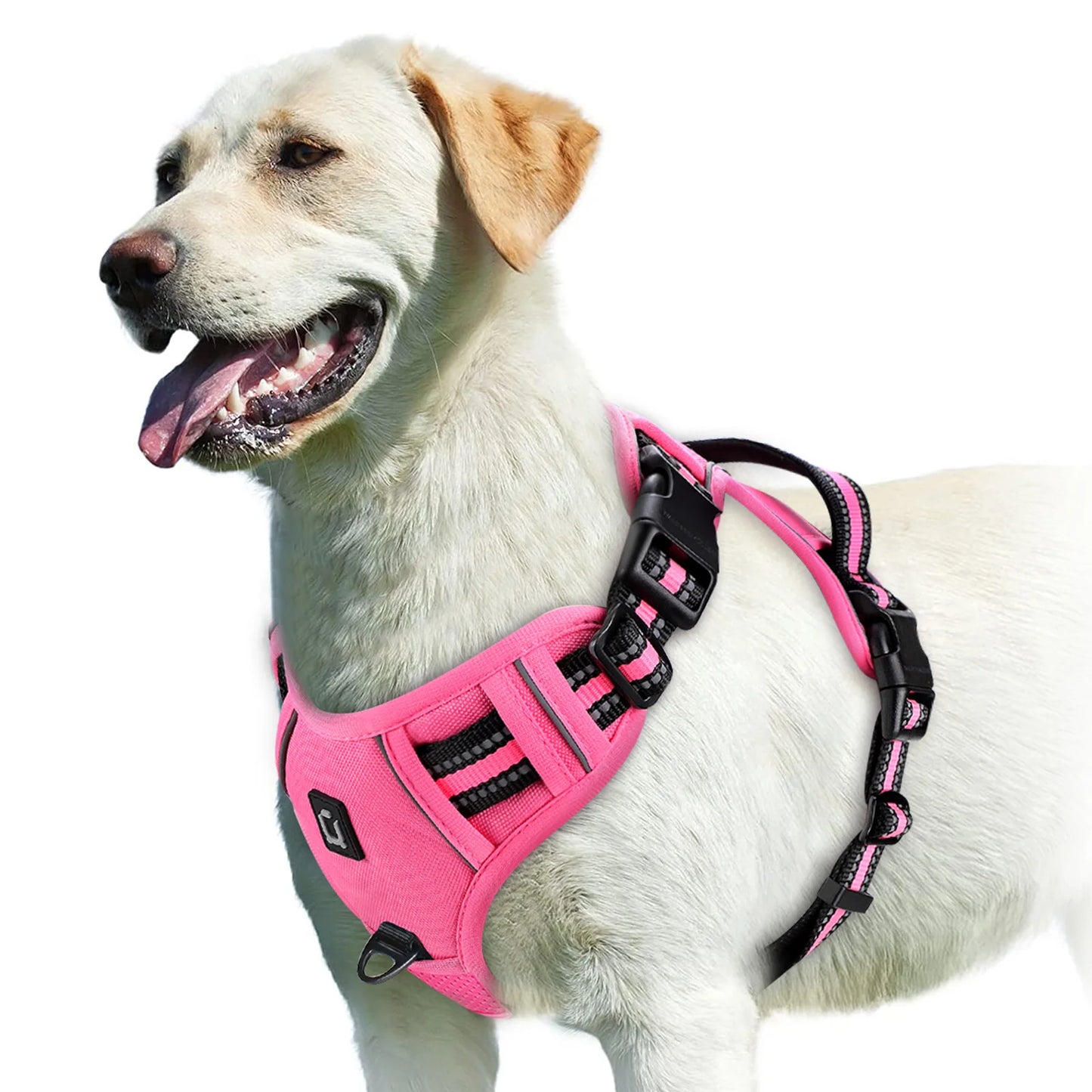 No Pull Dog Harness Adjustable Soft Padded Pet Vest in green side view