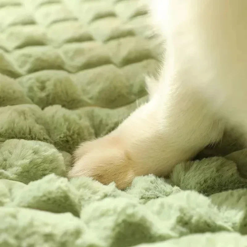 Machine Washable Orthopedic Dog Bed – Memory Foam