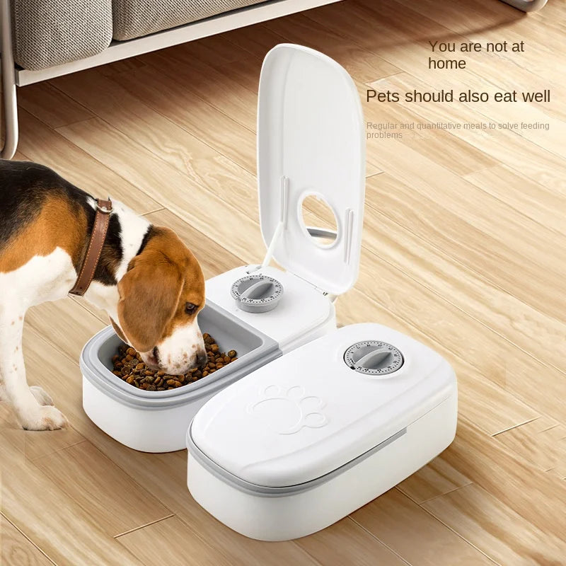 Automatic Pet Food Dispenser Bowl Timer Cooling dog eating on floor lifestyle