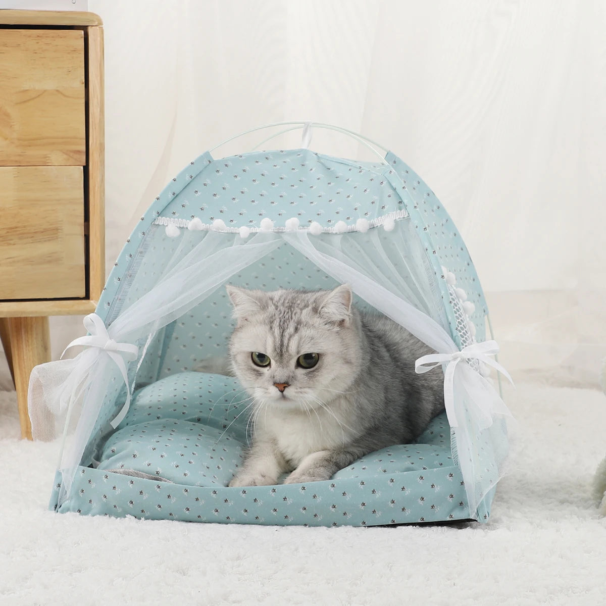 Pet Tent Bed Cats House Supplies Accessories Warm teal green tent cat sitting inside