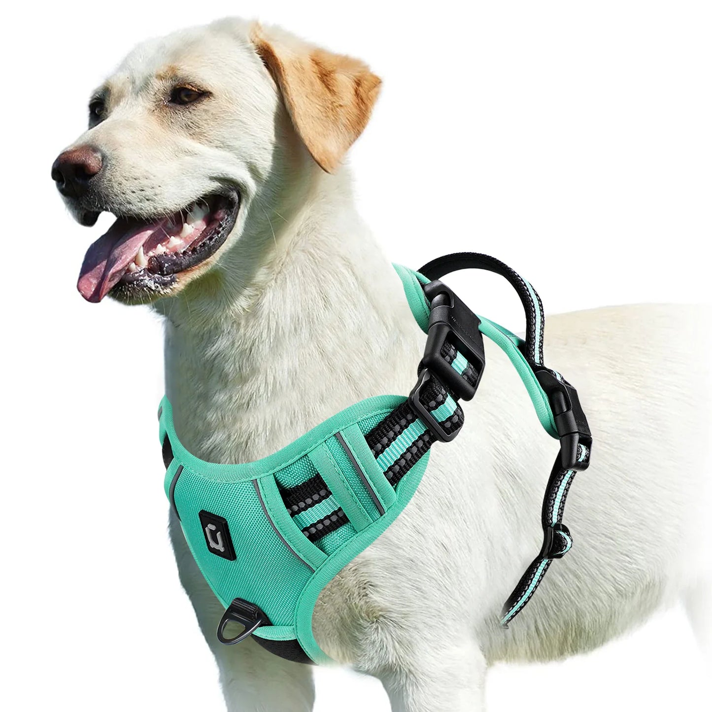 No Pull Dog Harness Adjustable Soft Padded Pet Vest in blue