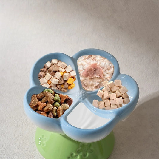 Pet Slow Feeders Food Bowl High Footed Ceramic Cat Bowl