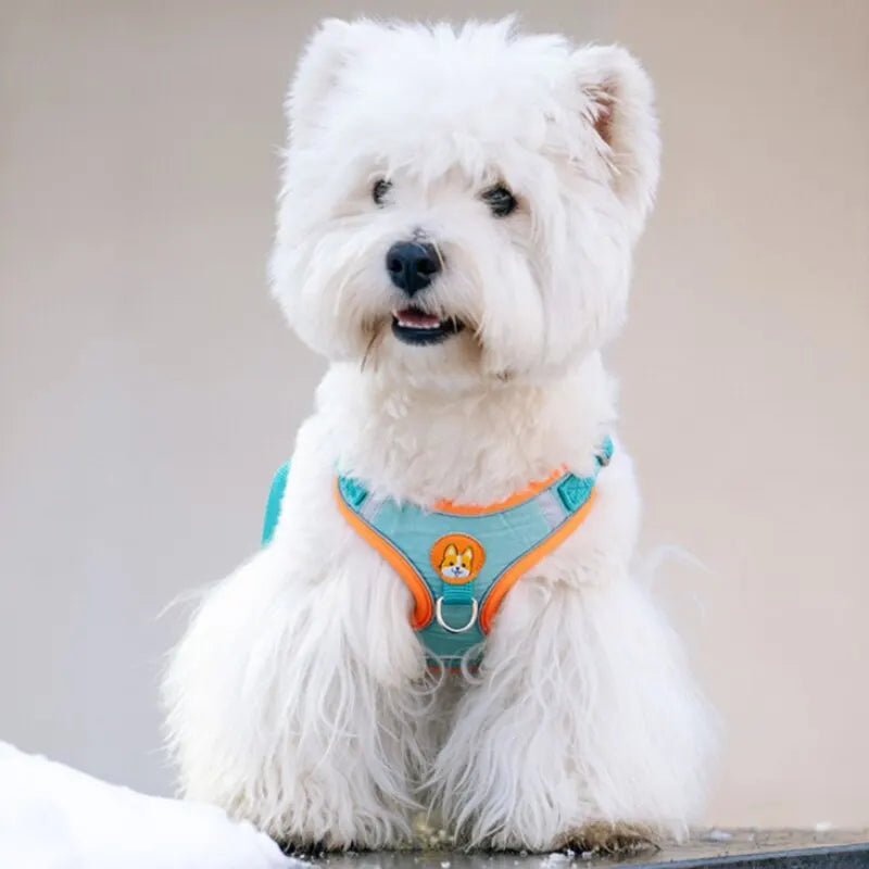 Adjustable No-Pull Reflective Dog Harness