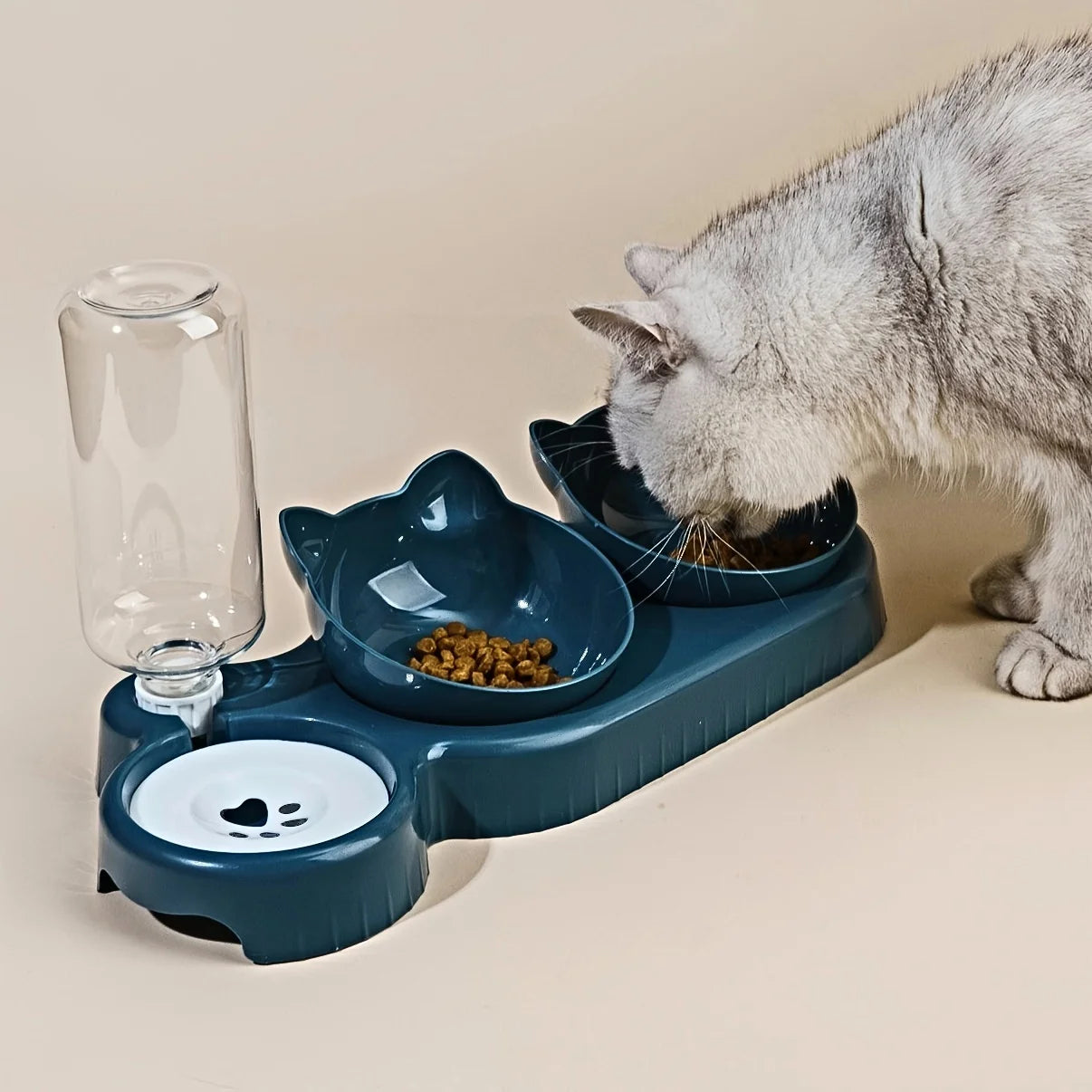 Pet Bowls Water Feeder 3 in 1 Tilted Cat cat drinking lifestyle photo