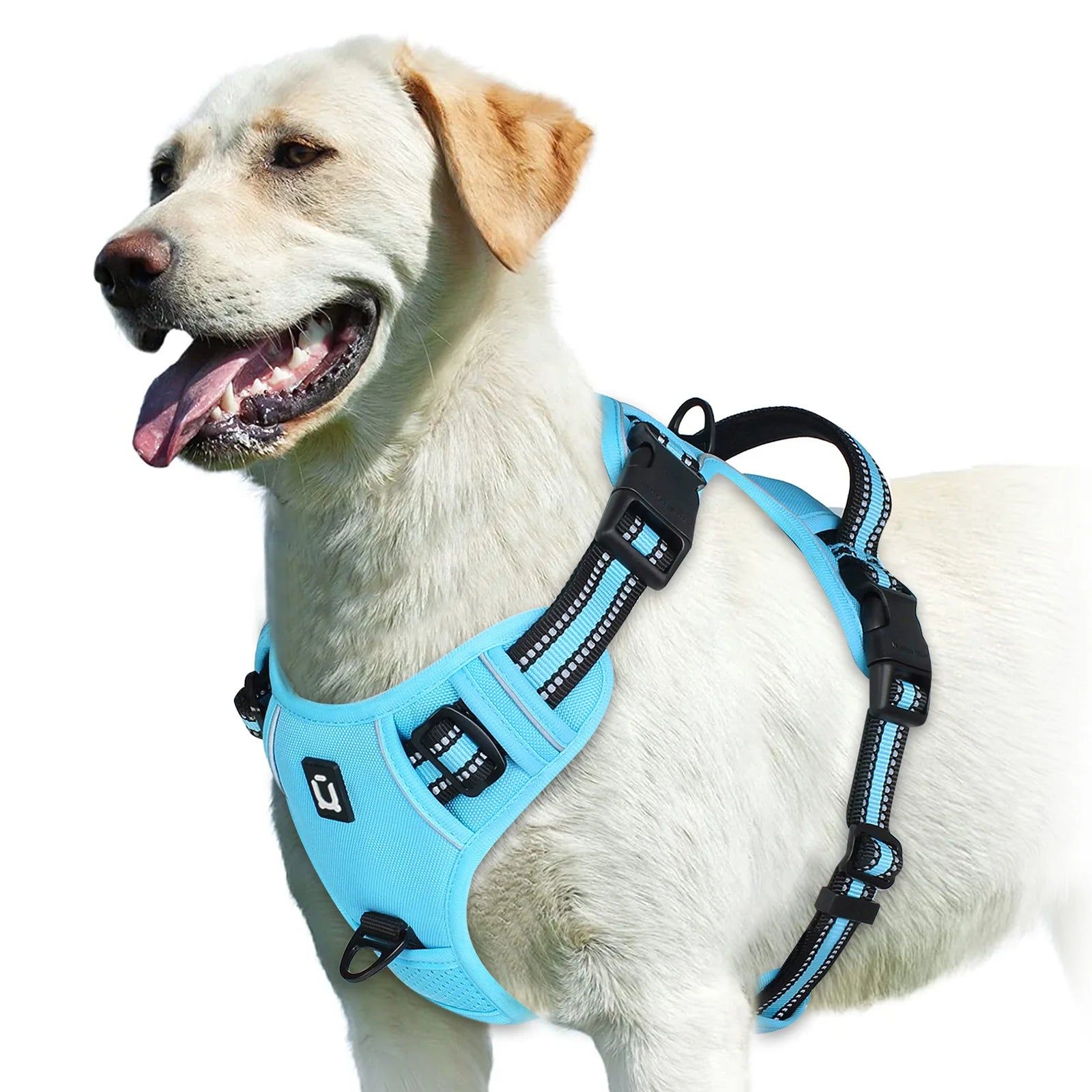 No Pull Dog Harness Adjustable Soft Padded Pet Vest in teal blue