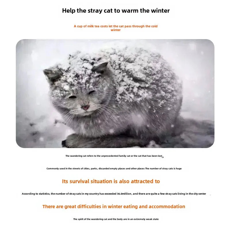 Waterproof Outdoor Cat & Dog House – Winter Shelter