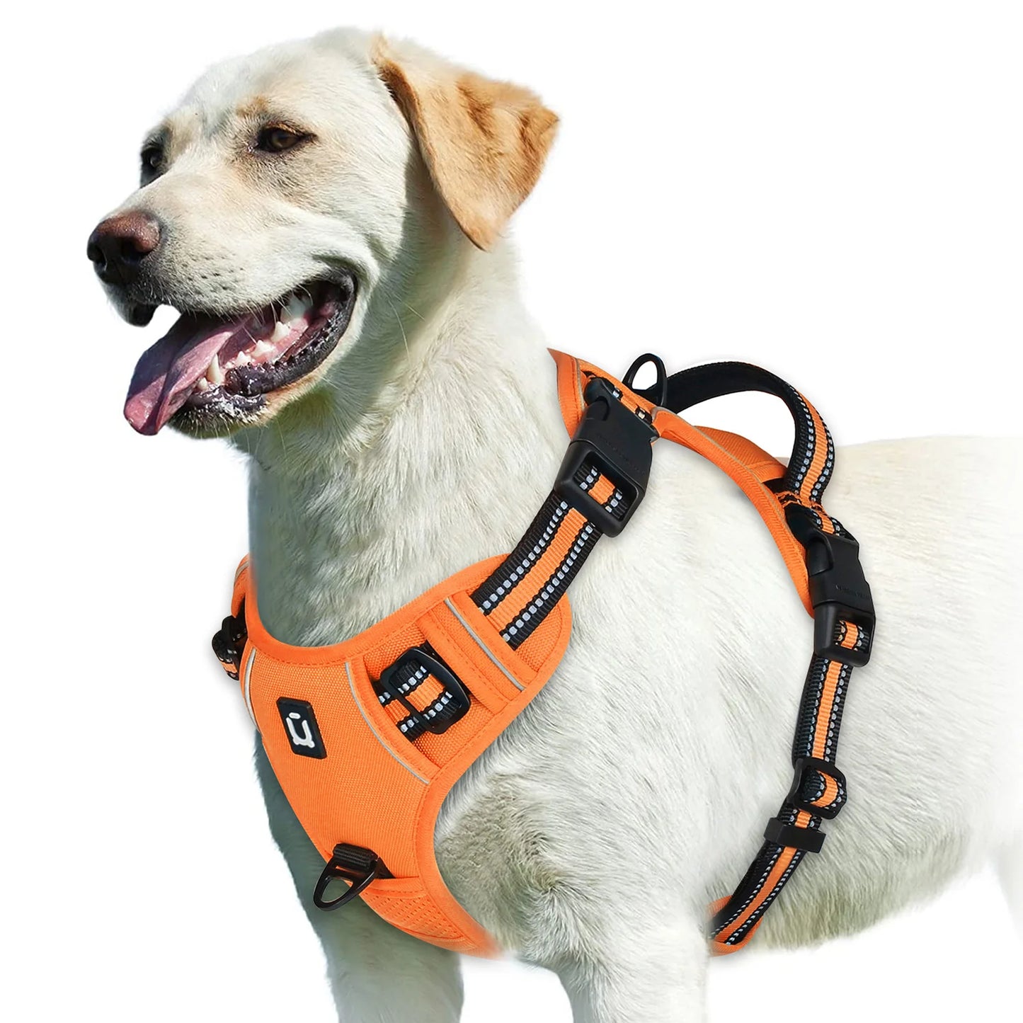 No Pull Dog Harness Adjustable Soft Padded Pet Vest in green side view