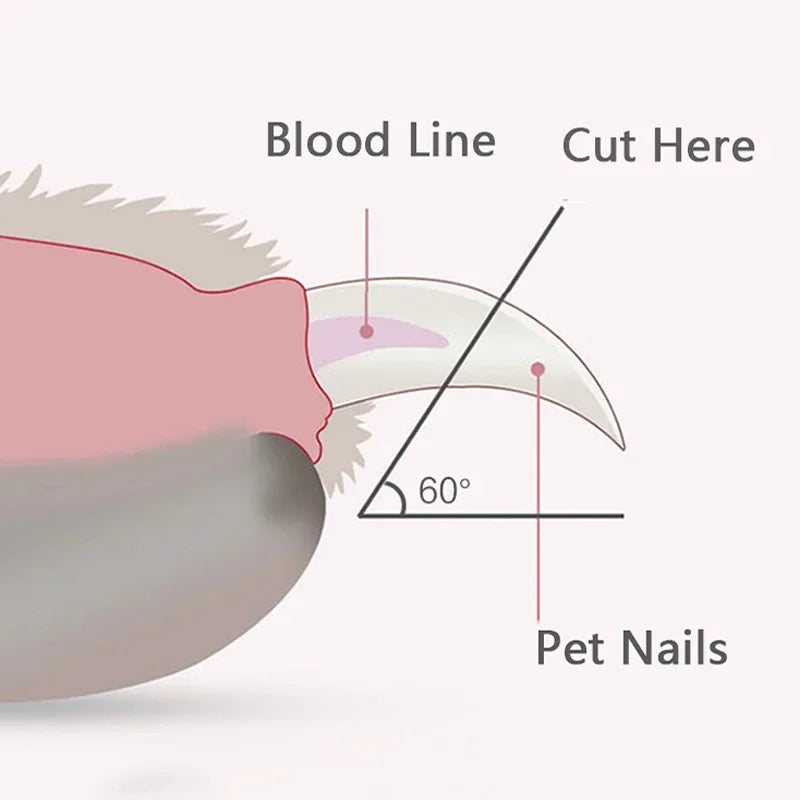 Professional Pet Nail Clippers with LED Light – Dog & Cat Claw Grooming Trimmer