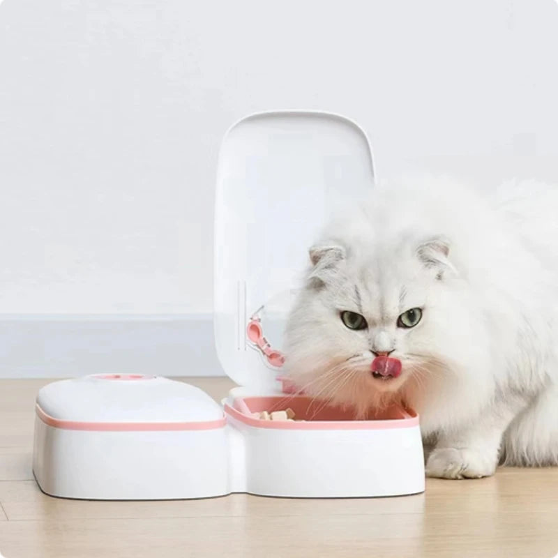 Automatic Pet Food Dispenser Bowl Timer Cooling cat eating white unit
