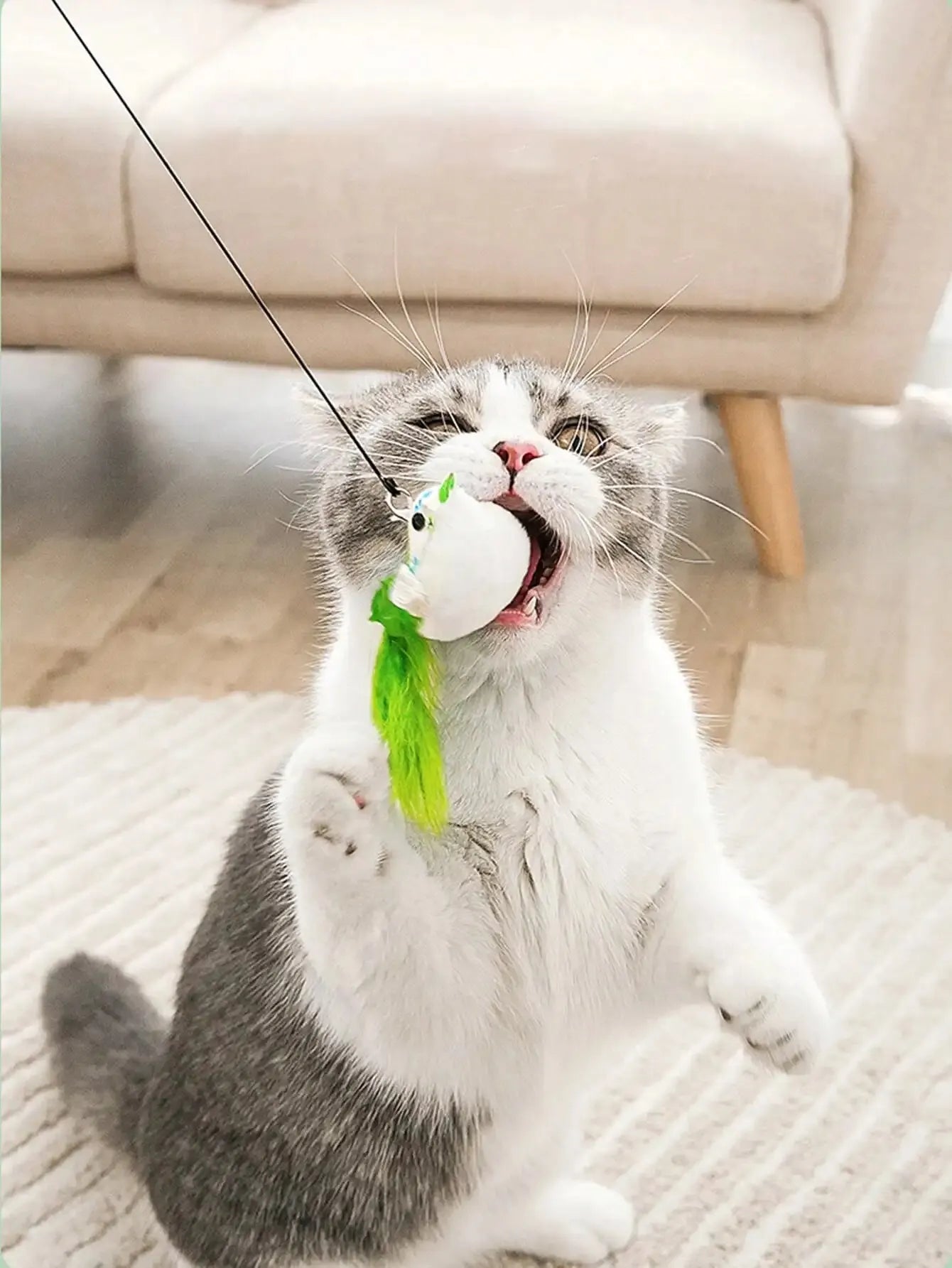 Cat Interactive Toy – Simulated Bird with Suction Cup, Feather & Bell