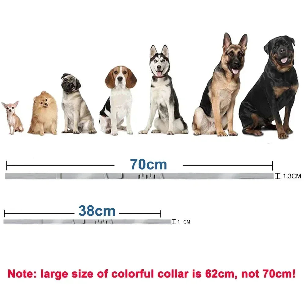 Waterproof Rubber Pet Collar – Adjustable, Durable & Odor Resistant