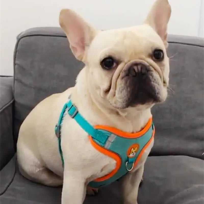 Adjustable No-Pull Reflective Dog Harness