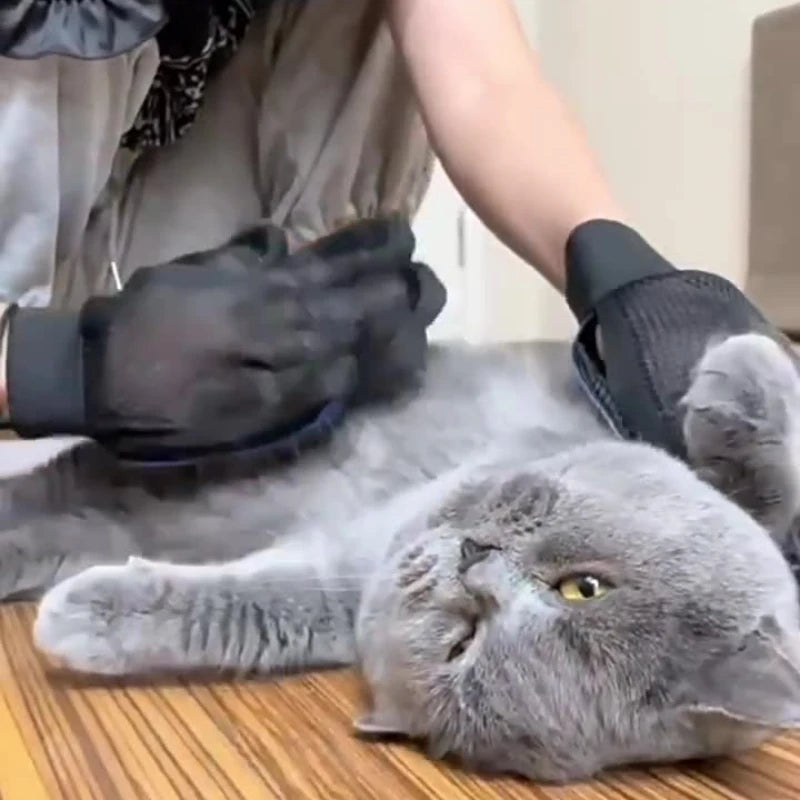 Silicone Pet Grooming Gloves – Cat & Dog Hair Brush, Comb & Bathing Mitt