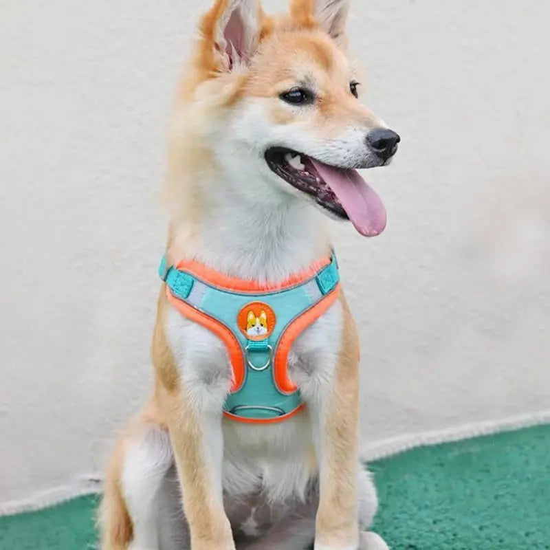 Adjustable No-Pull Reflective Dog Harness