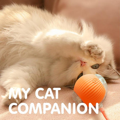 Rechargeable Automatic Rolling Cat Ball Toy – Smart Sensor Interactive Toy
