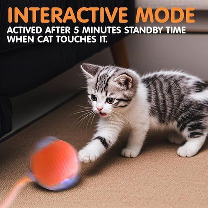 Rechargeable Automatic Rolling Cat Ball Toy – Smart Sensor Interactive Toy