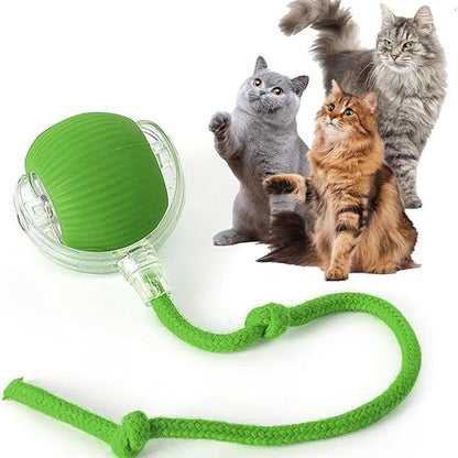 Rechargeable Automatic Rolling Cat Ball Toy – Smart Sensor Interactive Toy